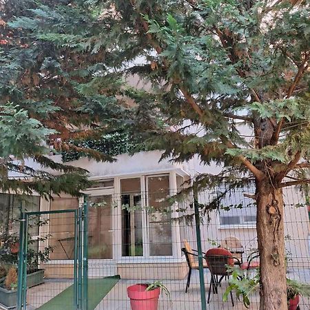 Apartments Vanja Budva Zewnętrze zdjęcie